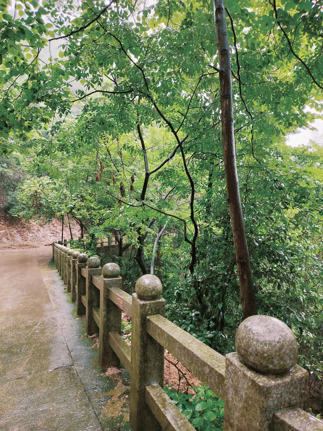 DƬ